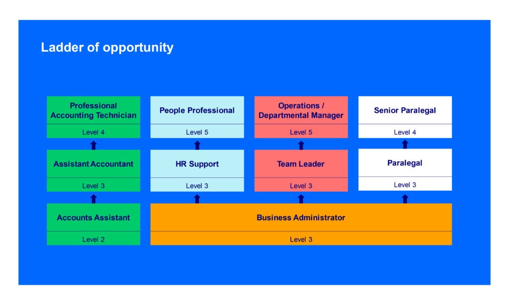 An illustrated graphic showing all the professional courses and apprenticeships Mindful Education offers and how they can build the ladder for success.